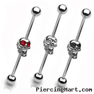 Industrial barbell with jeweled skull