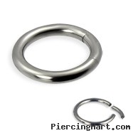 Titanium segment ring, 10 ga