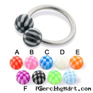 Checkered ball circular barbell, 14 ga