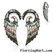 Pair Of Organic Abalone Angel Wing Spiral Taper