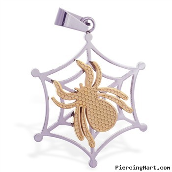 Stainless steel web pendant with gold colored spider